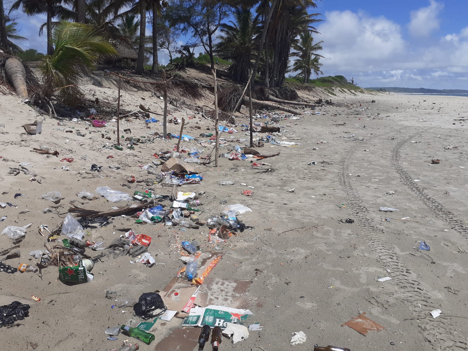 Beach litter scattered along shore
